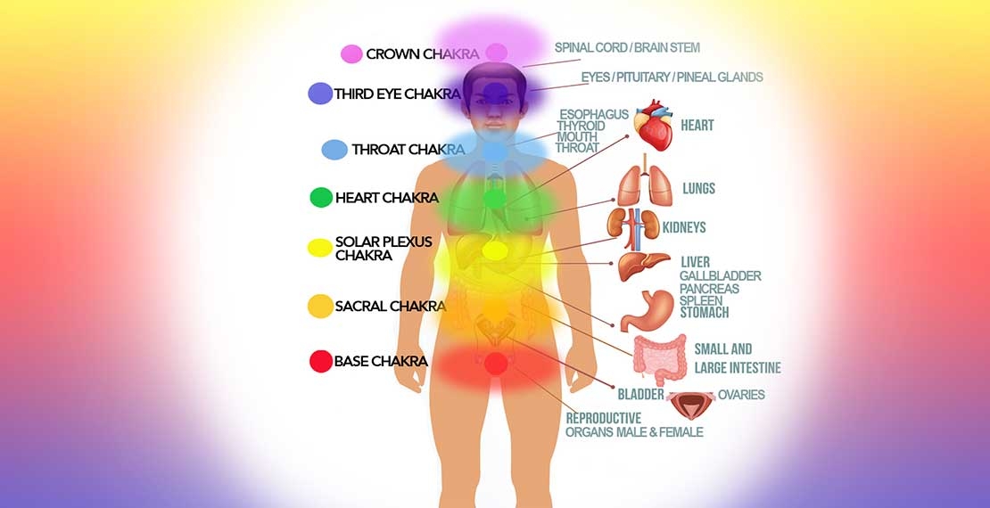 Understanding The 7 Main Chakras In The Body Can Help To Learn More